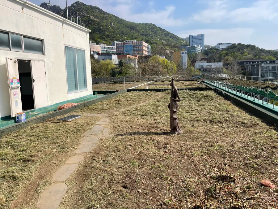 옥상 예초 작업 작업 현장 3